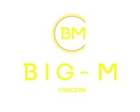 СONCERN BIG-M