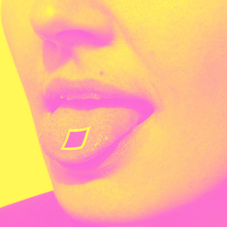 MARCIN NOWICKI — (NOVIKI) onerror=